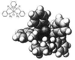 �����߻���